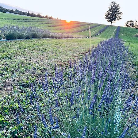 Vila La Baita Nei Boschi Serramazzoni Exteriér fotografie