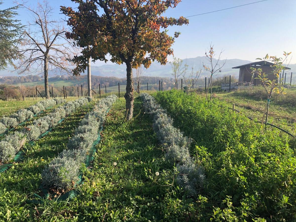 Vila La Baita Nei Boschi Serramazzoni Exteriér fotografie