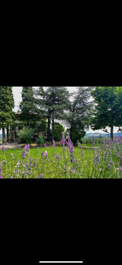 Vila La Baita Nei Boschi Serramazzoni Exteriér fotografie