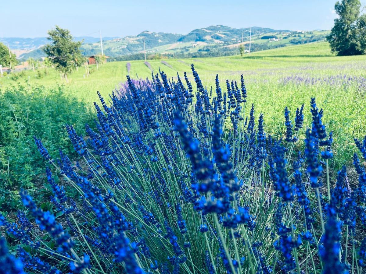 Vila La Baita Nei Boschi Serramazzoni Exteriér fotografie