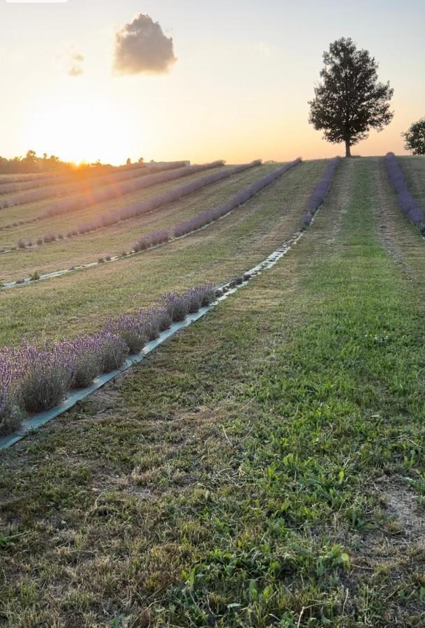Vila La Baita Nei Boschi Serramazzoni Exteriér fotografie