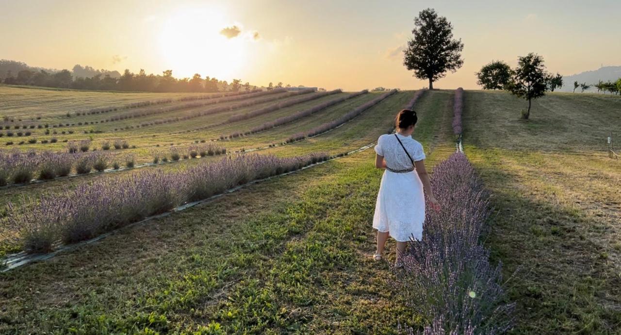 Vila La Baita Nei Boschi Serramazzoni Exteriér fotografie