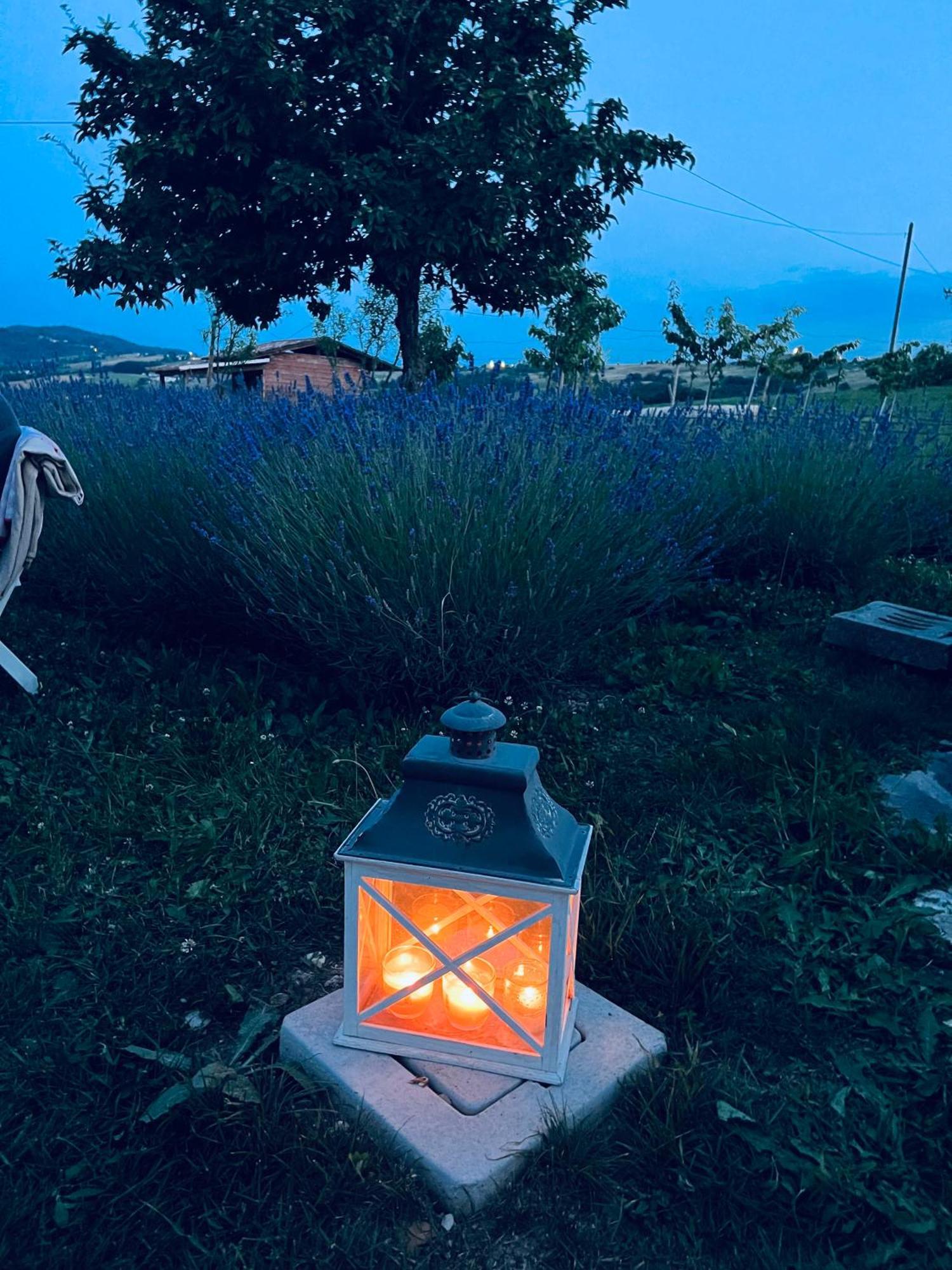 Vila La Baita Nei Boschi Serramazzoni Exteriér fotografie