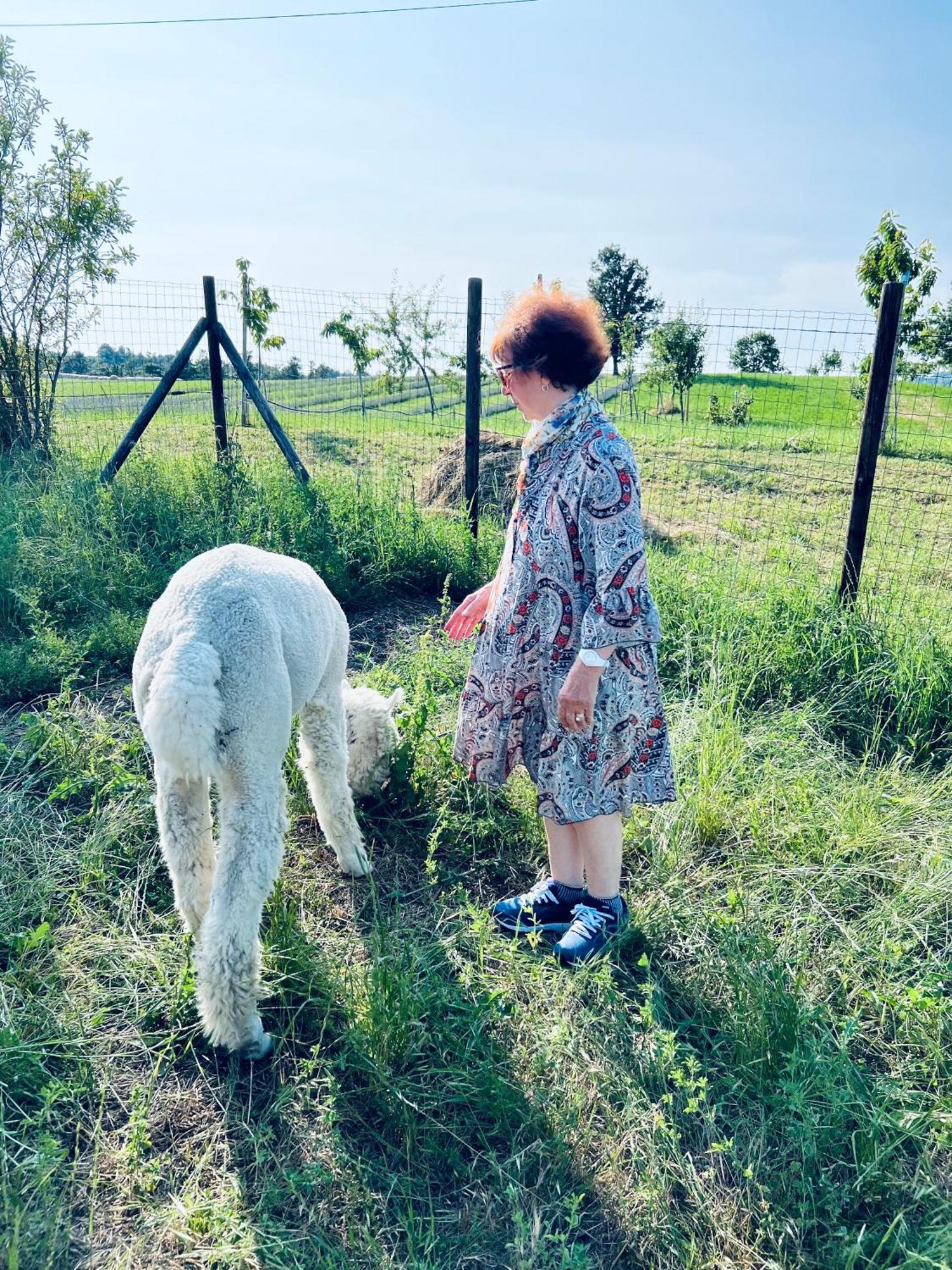 Vila La Baita Nei Boschi Serramazzoni Exteriér fotografie